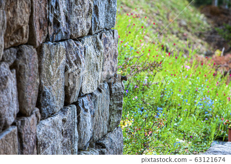 松鼠約會 松鼠約會 63121674