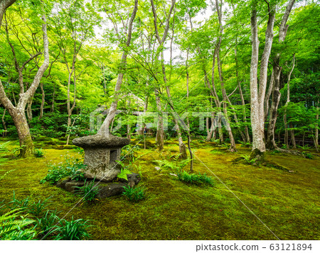Kyoto Shihoji Temple in spring 63121894