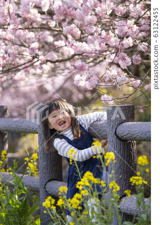一個三歲的女孩，似乎在櫻花和油菜花之間很快樂 63122455