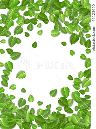 Flying green leaves on white background. Spring leaf vertical pattern on isolated backdrop. Fall fresh leaves plant. Vector illustration Flying green leaves on white background. Spring leaf vertical pattern on isolated backdrop. Fall fresh leaves plant. Vector illustration 63123690