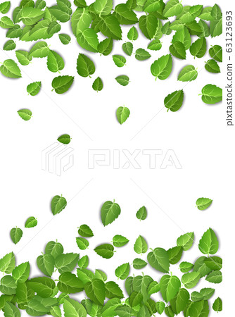 Flying green leaves on white background. Spring leaf vertical pattern on isolated backdrop. Fall fresh leaves plant. Vector illustration Flying green leaves on white background. Spring leaf vertical pattern on isolated backdrop. Fall fresh leaves plant. Vector illustration 63123693