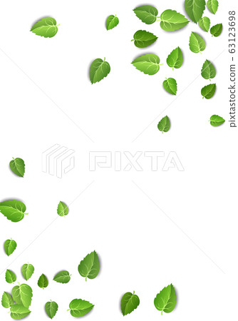 Flying green leaves on white background. Spring leaf vertical pattern on isolated backdrop. Fall fresh leaves plant. Vector illustration Flying green leaves on white background. Spring leaf vertical pattern on isolated backdrop. Fall fresh leaves plant. Vector illustration 63123698