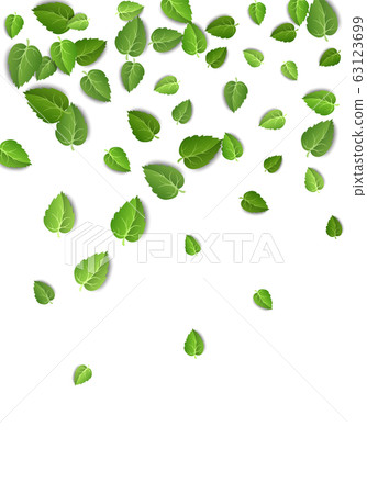 Flying green leaves on white background. Spring leaf vertical pattern on isolated backdrop. Fall fresh leaves plant. Vector illustration Flying green leaves on white background. Spring leaf vertical pattern on isolated backdrop. Fall fresh leaves plant. Vector illustration 63123699