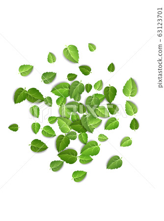 Flying green leaves on white background. Spring leaf vertical pattern on isolated backdrop. Fall fresh leaves plant. Vector illustration Flying green leaves on white background. Spring leaf vertical pattern on isolated backdrop. Fall fresh leaves plant. Vector illustration 63123701