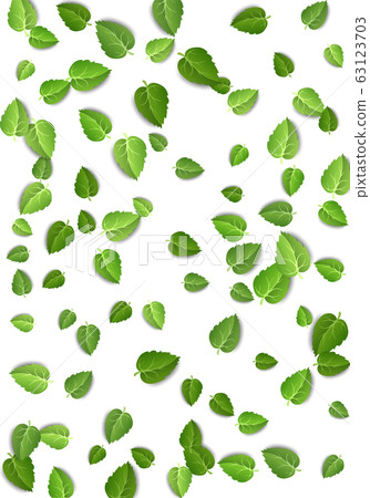 Flying green leaves on white background. Spring leaf vertical pattern on isolated backdrop. Fall fresh leaves plant. Vector illustration Flying green leaves on white background. Spring leaf vertical pattern on isolated backdrop. Fall fresh leaves plant. Vector illustration 63123703