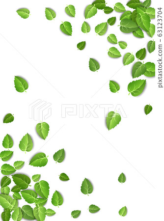 Flying green leaves on white background. Spring leaf vertical pattern on isolated backdrop. Fall fresh leaves plant. Vector illustration Flying green leaves on white background. Spring leaf vertical pattern on isolated backdrop. Fall fresh leaves plant. Vector illustration 63123704