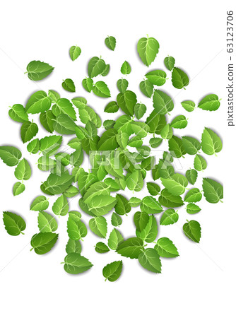 Flying green leaves on white background. Spring leaf vertical pattern on isolated backdrop. Fall fresh leaves plant. Vector illustration 63123706