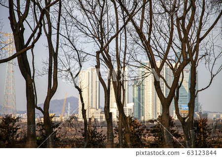 A tall building seen through the trees A tall building seen through the trees 63123844