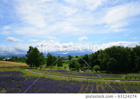 View from Northwest Hill Observation Park (Biei-cho, Hokkaido) View from Northwest Hill Observation Park (Biei-cho, Hokkaido) 63124274