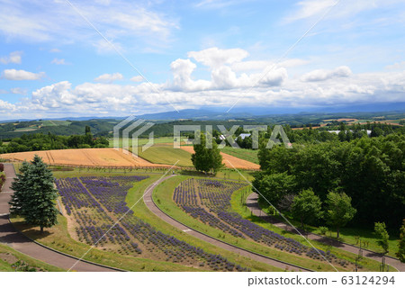 西北山Observation望台（北海道美瑛町）的景色 63124294