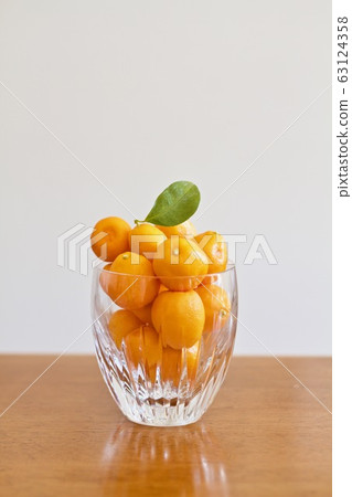 金桔金柑類水果 金桔金柑類水果 63124358