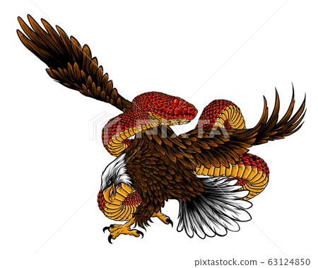 Illustration of eagle fight with snake vector Illustration of eagle fight with snake vector 63124850
