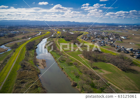 Full bloom rape blossoms blooming on the banks of the Iruma, Kohane and Koshibe rivers {Kawagoe City, Saitama Prefecture} (Aerial shot by drone) 63125061