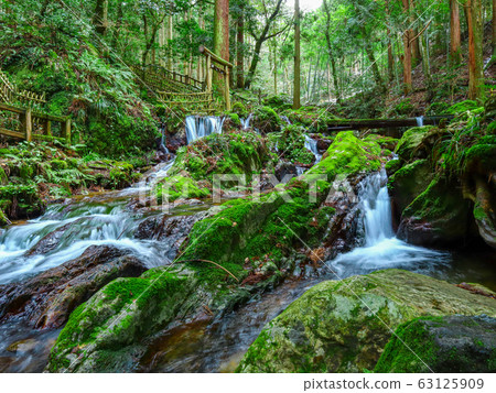 [福井縣]餐瀑布 63125909