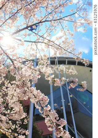 Osaka Prefectural Large Children's House Big Bang Spring Scenery Osaka Prefectural Large Children's House Big Bang Spring Scenery 63125976