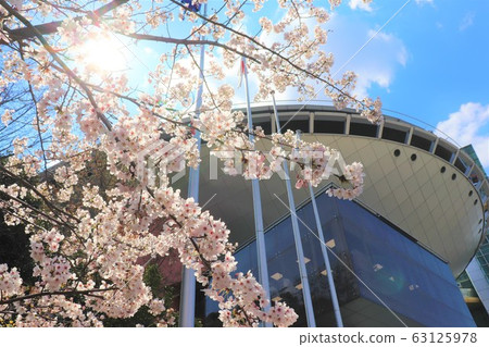 Osaka Prefectural Large Children's House Big Bang Spring Scenery 63125978