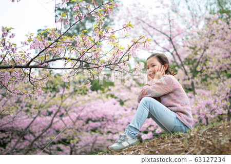 Girl looking at cherry blossoms Girl looking at cherry blossoms 63127234