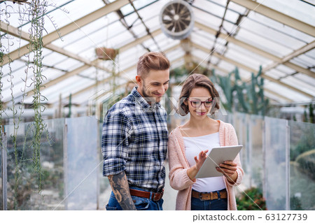 Man and woman researchers standing in greenhouse, using tablet. 63127739