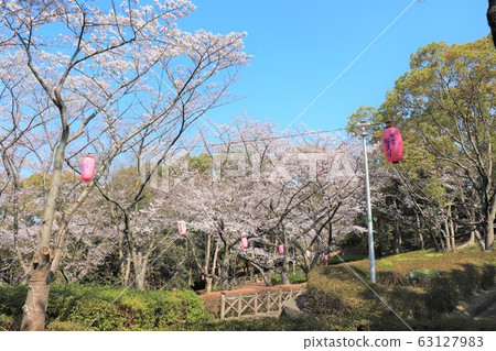 津賀/三田桃山台櫻花節 津賀/三田桃山台櫻花節 63127983