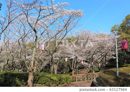 津賀/三田桃山台櫻花節 津賀/三田桃山台櫻花節 63127984