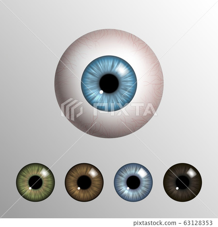 Vector realistic 3d human eyeball with natural Vector realistic 3d human eyeball with natural 63128353
