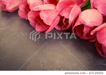Pink tulips on a dark gray grunge background. Pink tulips on a dark gray grunge background. 63129202