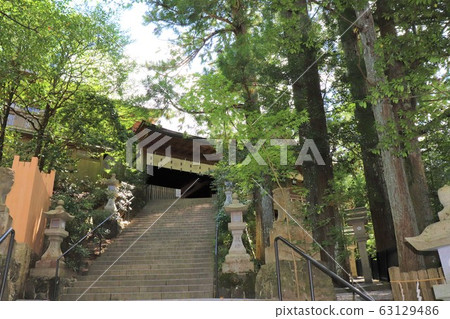 天黑本澤滕 63129486