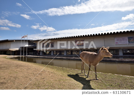 奈良國立博物館 奈良國立博物館 63130671