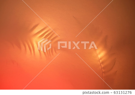 Shadows of tropical palm leaves in trendy duotone neon backlight. Shadows of tropical palm leaves in trendy duotone neon backlight. 63131276
