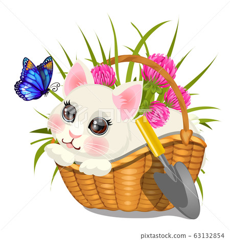 Cute sketch of poster with fluffy animated kitten sitting in wicker basket with pink clover and butterfly with blue wings isolated on white background. Vector cartoon close-up illustration. Cute sketch of poster with fluffy animated kitten sitting in wicker basket with pink clover and butterfly with blue wings isolated on white background. Vector cartoon close-up illustration. 63132854