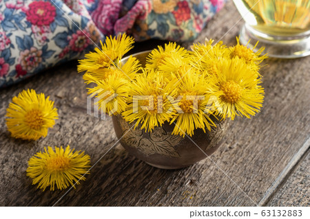 Coltsfoot, or Tussilago farfara flowers in a bowl Coltsfoot, or Tussilago farfara flowers in a bowl 63132883