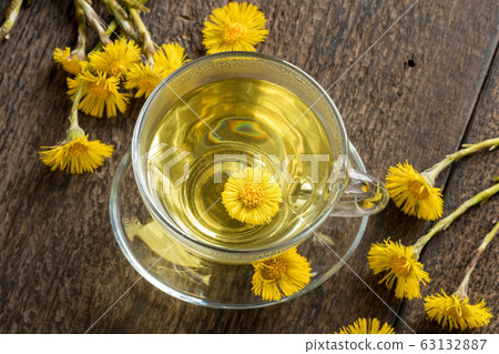 A cup of coltsfoot tea with fresh coltsfoot A cup of coltsfoot tea with fresh coltsfoot 63132887