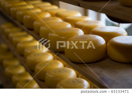 Cheese wheels on a shelf Cheese wheels on a shelf 63133471