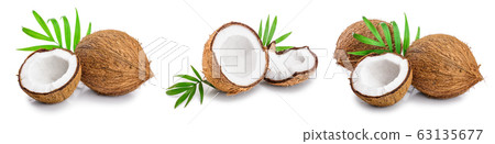 coconut with leaves isolated on white background. Set or collection coconut with leaves isolated on white background. Set or collection 63135677