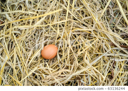 Chicken eggs on dry straw and copy space 63136244