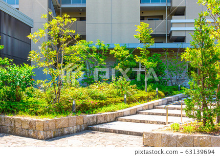 Fresh green street tree and apartment approach 63139694