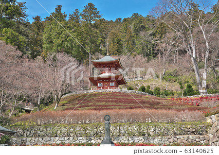 [Shouji Temple Tahoto] Aoyama Valley, Minoh City, Osaka Prefecture 63140625