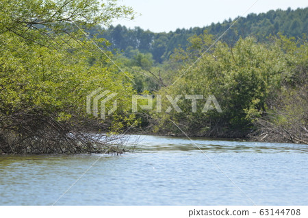 Kushiro Wetland ~ Canoe Cruise (Hokkaido) Kushiro Wetland ~ Canoe Cruise (Hokkaido) 63144708