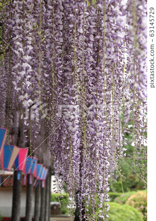 Ooto of Tamaki Shrine Ooto of Tamaki Shrine 63145729