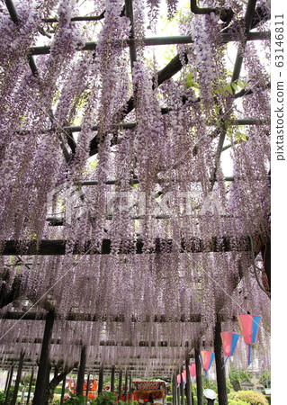 Ooto of Tamaki Shrine Ooto of Tamaki Shrine 63146811