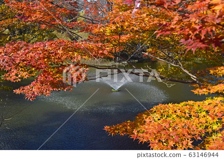 Tanagura Castle Ruins in Autumn Tanagura Castle Ruins in Autumn 63146944