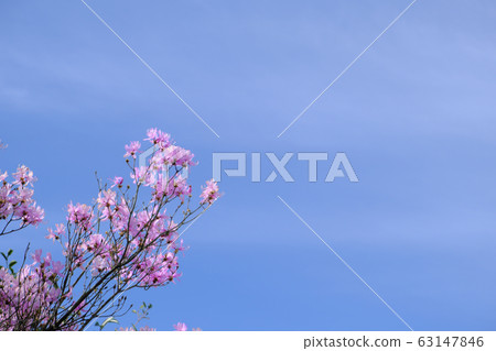 躍出藍天的美麗岩筒 63147846