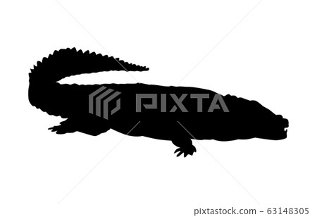 Animal silhouette zoo crocodile 3 63148305