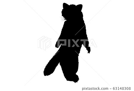 Animal silhouette zoo red panda 5 63148308
