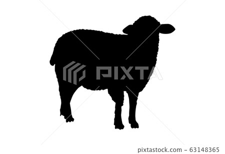 Animal silhouette zoo sheep 5 Animal silhouette zoo sheep 5 63148365