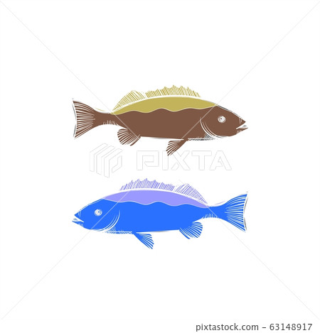 barracuda logo vector