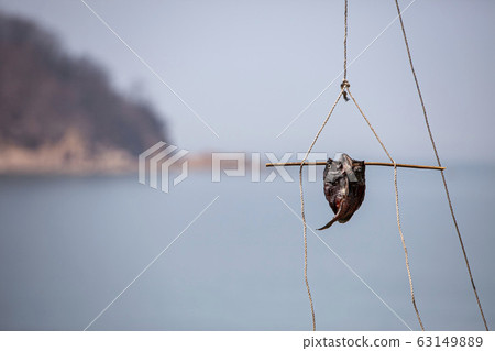 Dry fish 63149889