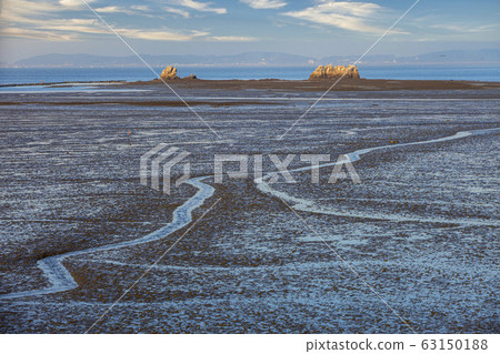 A landscape with a small island in the tidal flats revealed by low tide 63150188