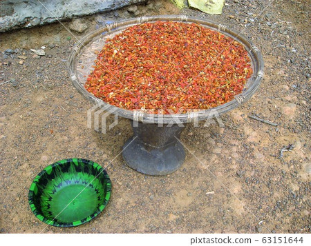 Dry peppers in northern Sierra Leone 63151644