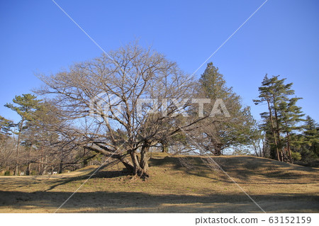 千葉房總村 63152159